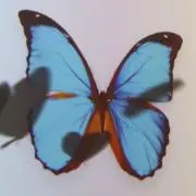 Mizuha