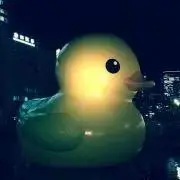 やまの画像