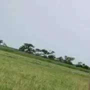 anananの画像