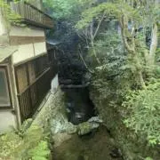 ryukの画像