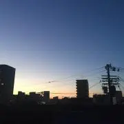 さはら