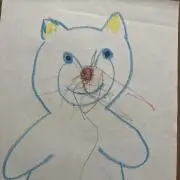 くもねこの画像