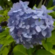 fufumiの画像