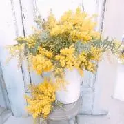 こまめ