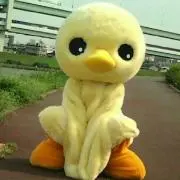 ヒデキ