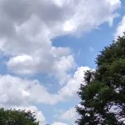 An-An