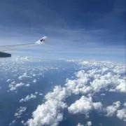 Maruの画像