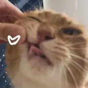 さやの画像