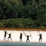 タコヤキの画像