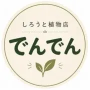 しろうと植物店　でんでんの画像