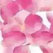 ~Rolise〜期間限定SALE中〜の画像
