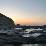 なおの画像