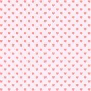 ぽんの画像
