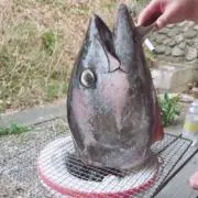 ハシモ