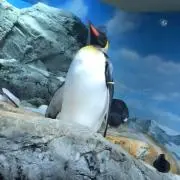 プロフ必須！の画像