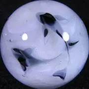 りんごの画像