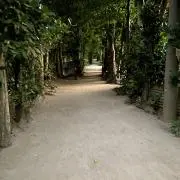 NAOの画像