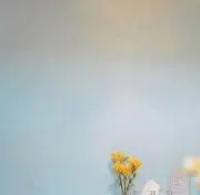しお