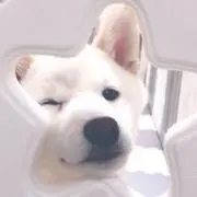 ぴぴぴ