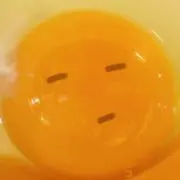 tamagoの画像