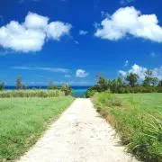 tao.の画像