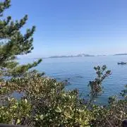 Ayumiの画像