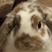 LUNAママ