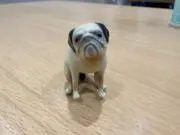 たいようの画像