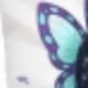 胡蝶かなこの画像