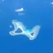 ラックの画像