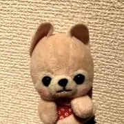 tozukaの画像