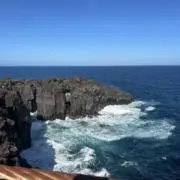 なお
