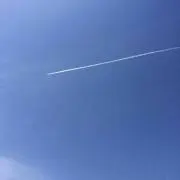 あだもの画像