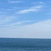 ボーの画像