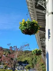 そらの画像