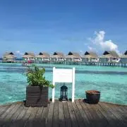みるたん⑅⁠꒱の画像