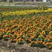 ユウ※プロフ必読の画像