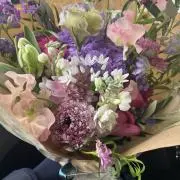 kkkの画像