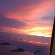 りんりんりんこの画像