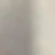 Tadaの画像