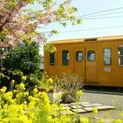 鉄道コレクション 秩父鉄道6000系 伊豆急8000系無塗装 一畑電車5000系