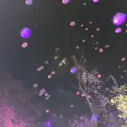 ワ