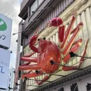 炒飯の画像