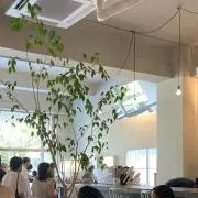 らきの画像