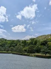 sakasugaの画像