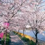 つんたん☆即購入OK☆