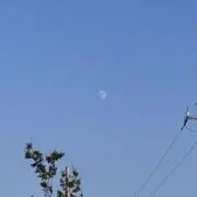 やなの画像