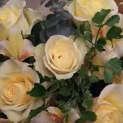su e