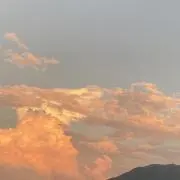 Soraの画像