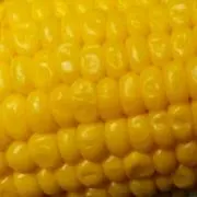 とうきび